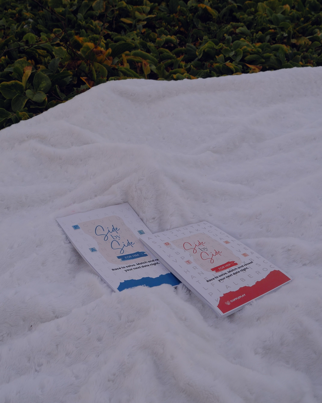 Side by Side word search book for couples